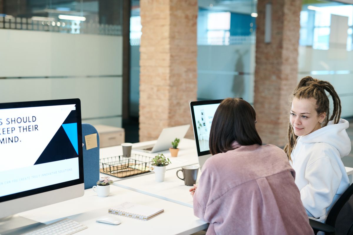 Two people working at a long desk with monitors in a bright office, plants along the window.